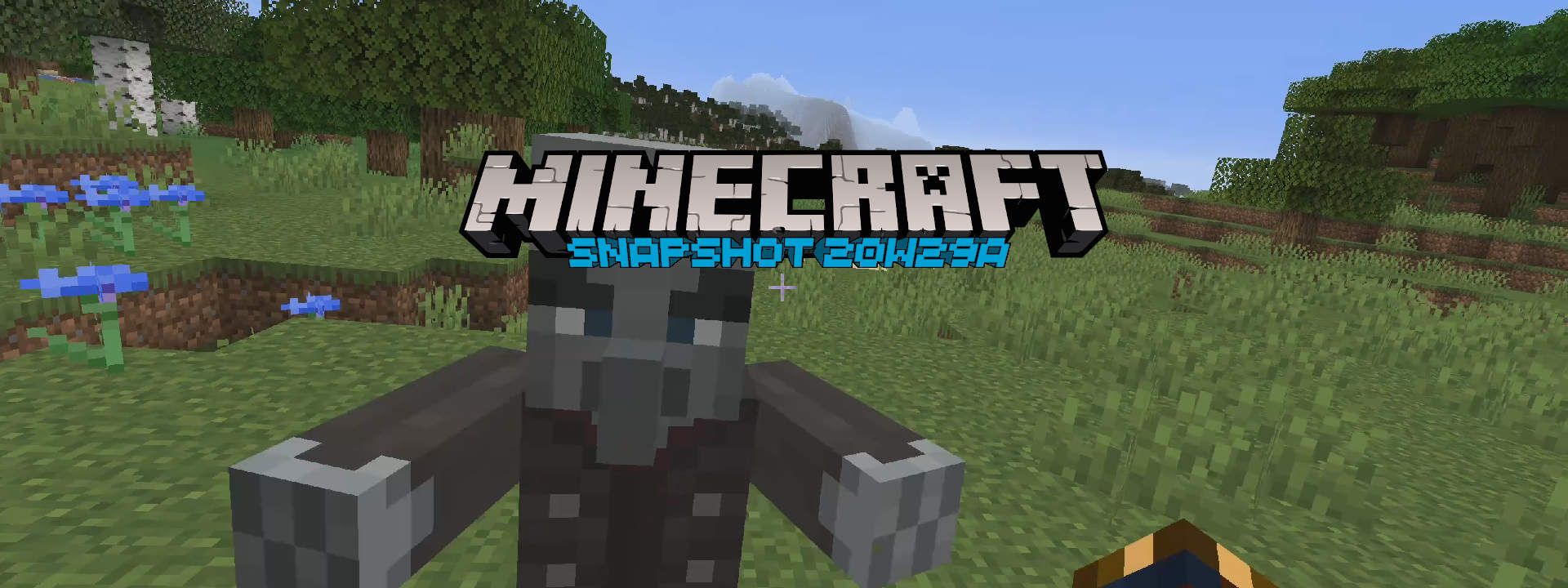 Minecraft Snapshot 20w29a